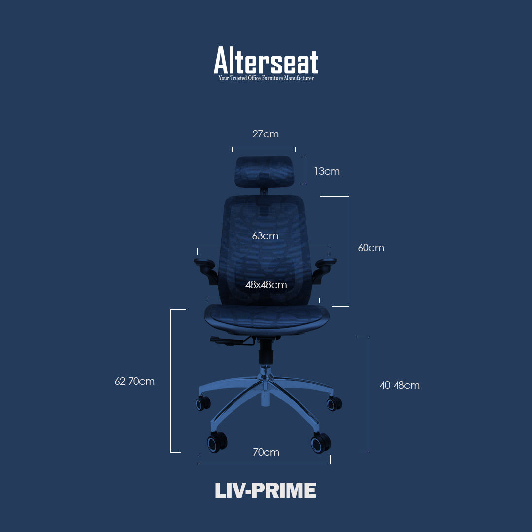LIV PRIME Ergonomic Desk Chair