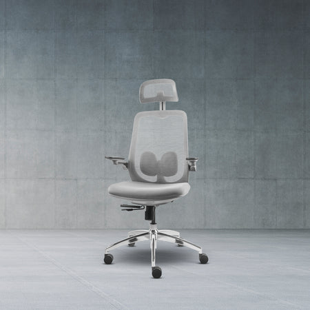 LIV-10 Ergonomic Desk Chair