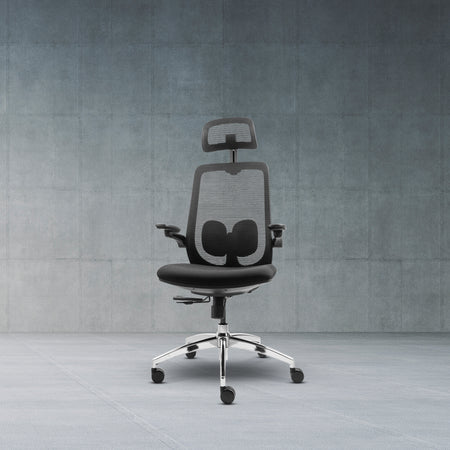 LIV-10 Ergonomic Desk Chair