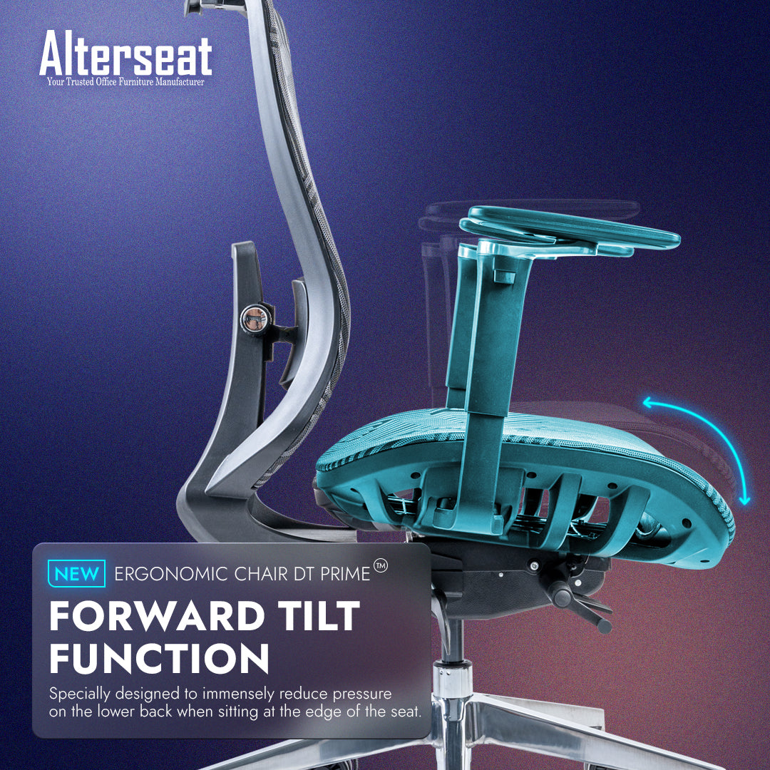 DT Prime™（Donati®️版）黄金标准人体工学椅