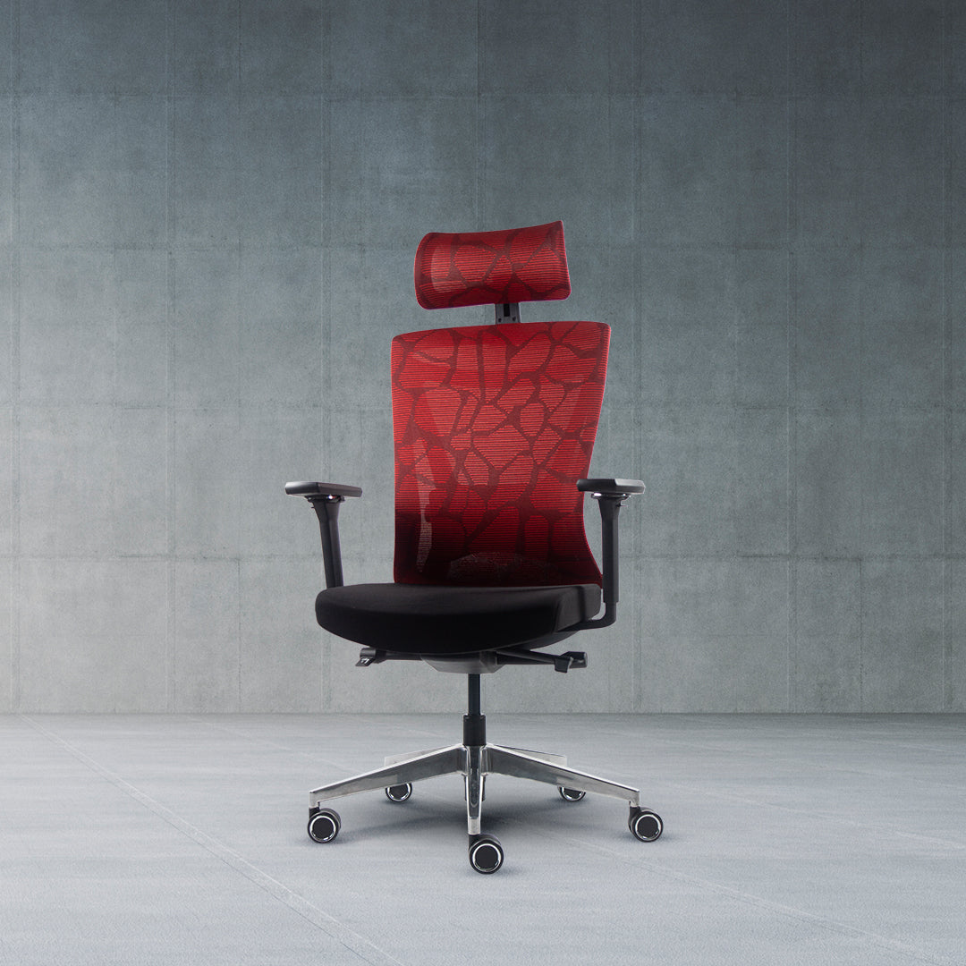 CG Plus Ergonomic Chair (with Seat Slider)