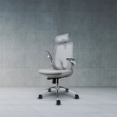 LIV-10 Ergonomic Desk Chair