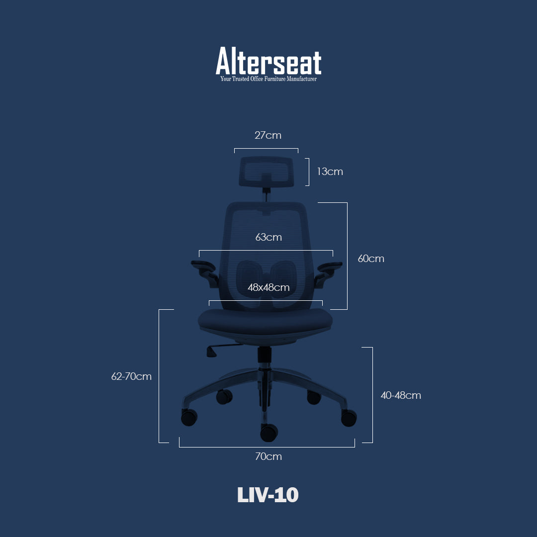 LIV-10 Ergonomic Desk Chair